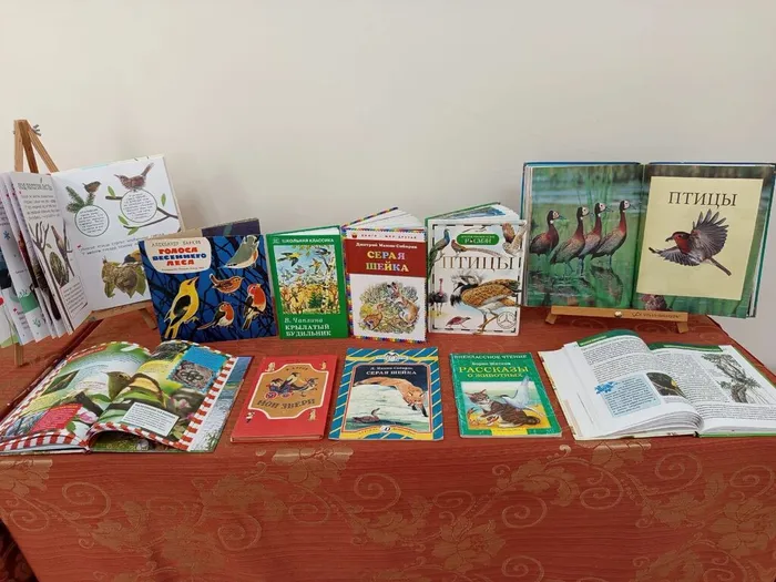 3EEF8AB0-11A8-425D-9CAA-45967295B4AB