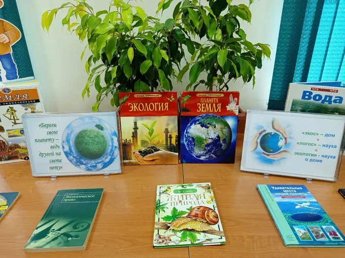 c19868fb-80d5-4eab-97f0-caabf54f1709